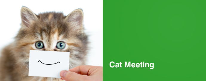 Cat Meeting