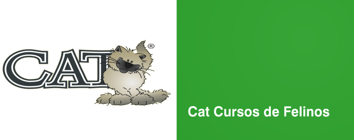 CAT Cursos