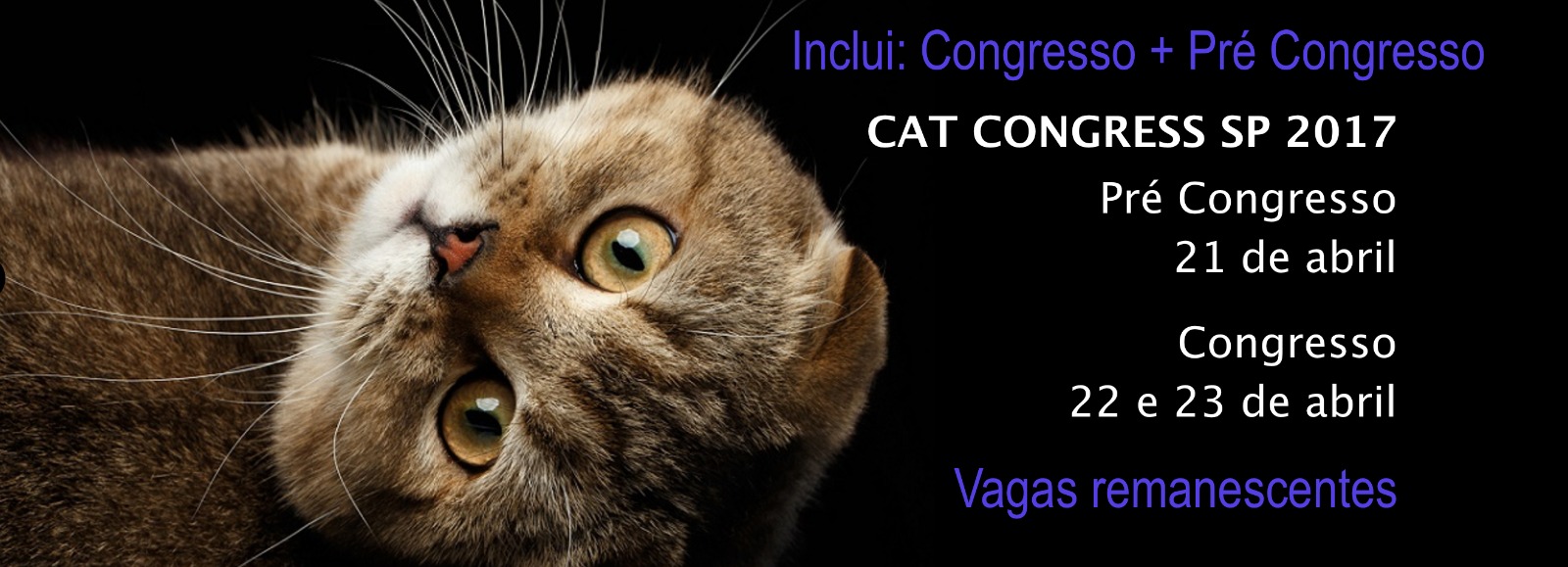 CAT Congress SP