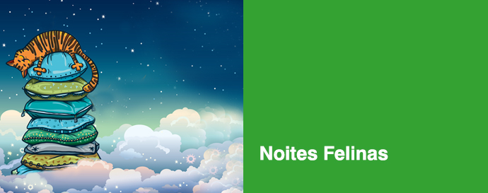 Noites Felinas