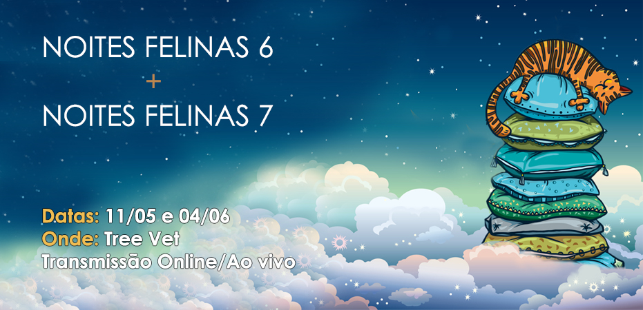 Noites Felinas 6 + 7