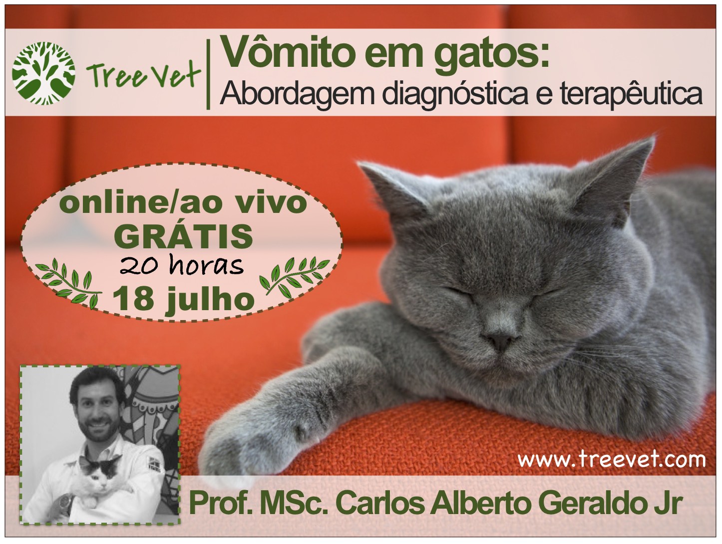 Vômito em gatos: abordagem diagnóstica e terapêutica