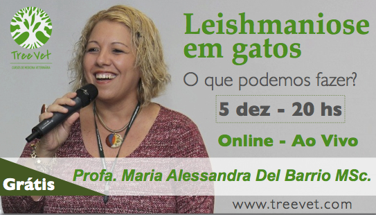 Leishmaniose em gatos: o que podemos fazer? Online - Ao Vivo