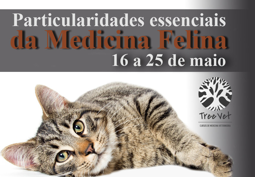 CAT Meeting - 7ª Temporada - Online/Ao vivo