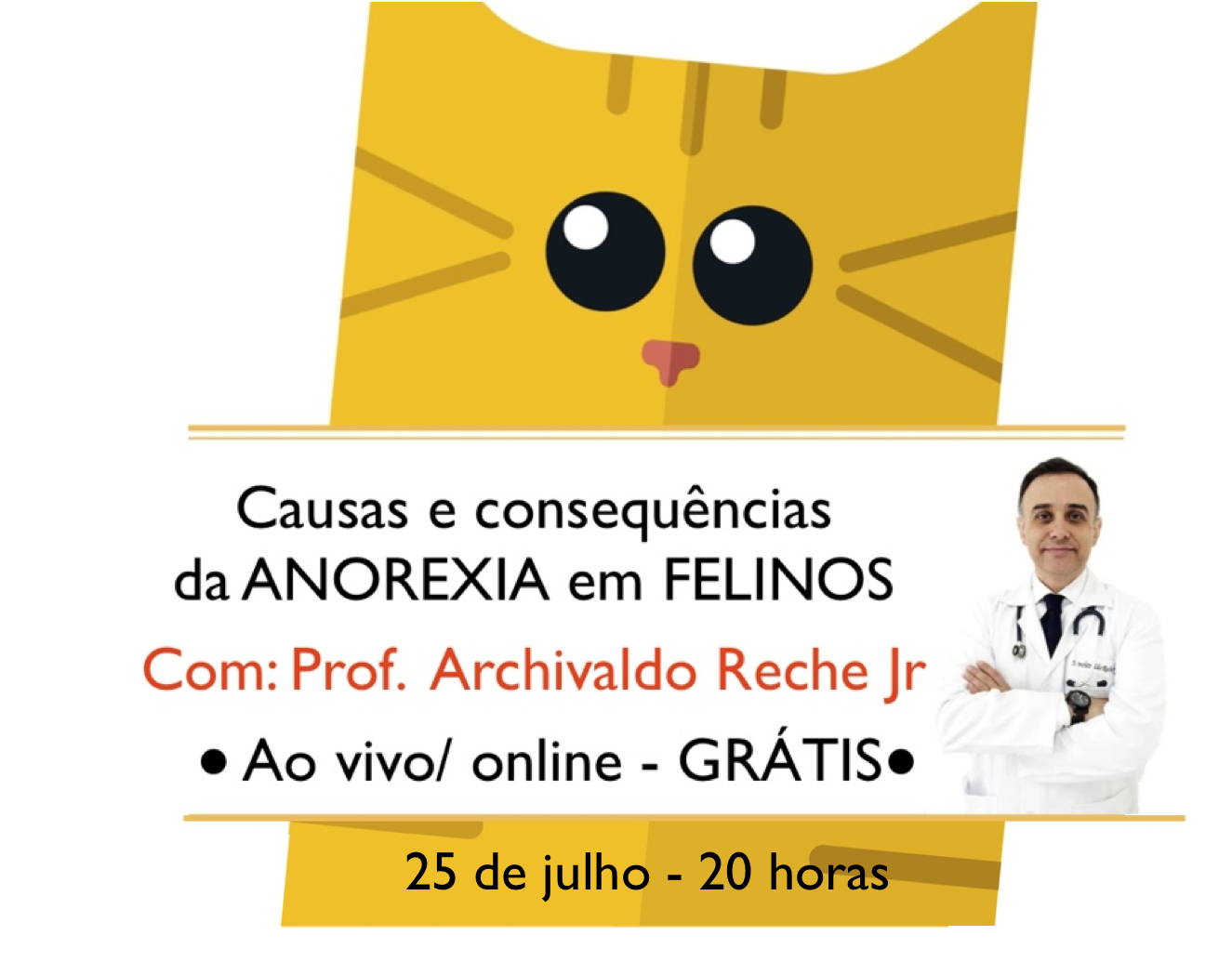 Causas e consequências da ANOREXIA em FELINOS.