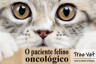 CAT Meeting - 10ª Temporada - Online/Ao vivo