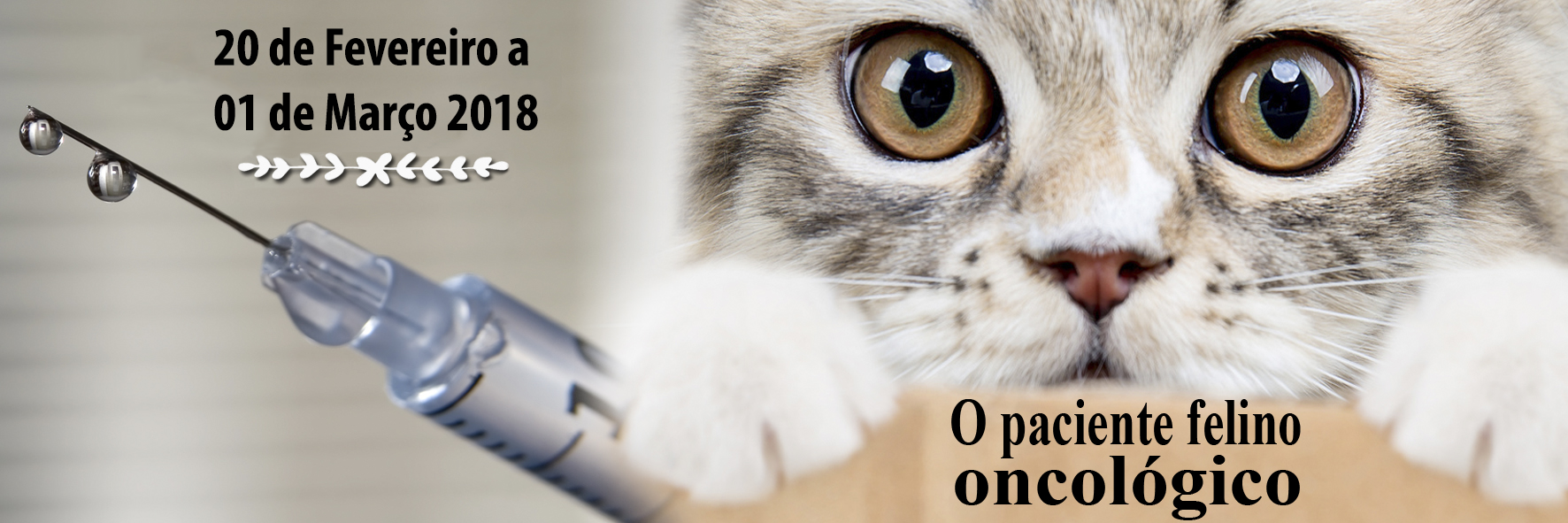 CAT Meeting - 10ª Temporada - Online/Ao vivo