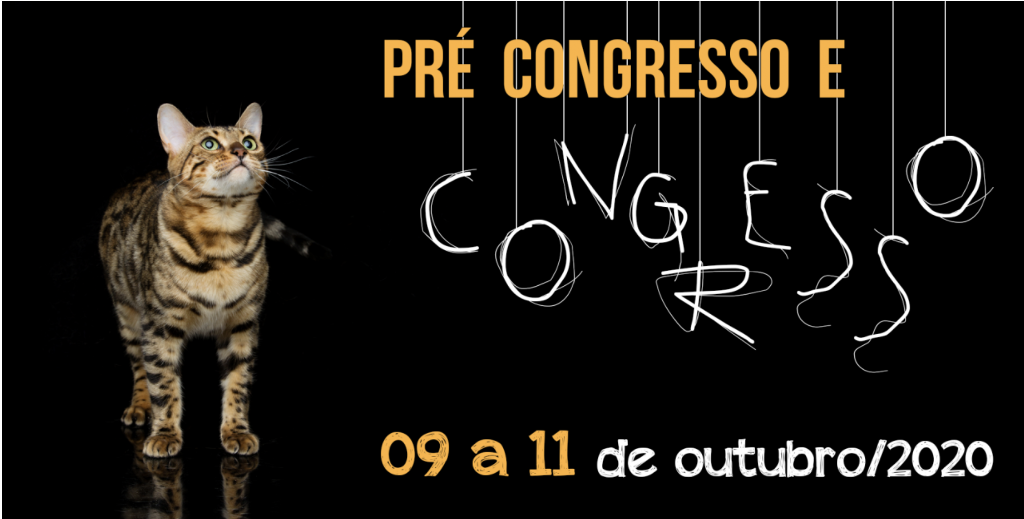 CAT Congress SP 2020 - Pré congresso + Congresso