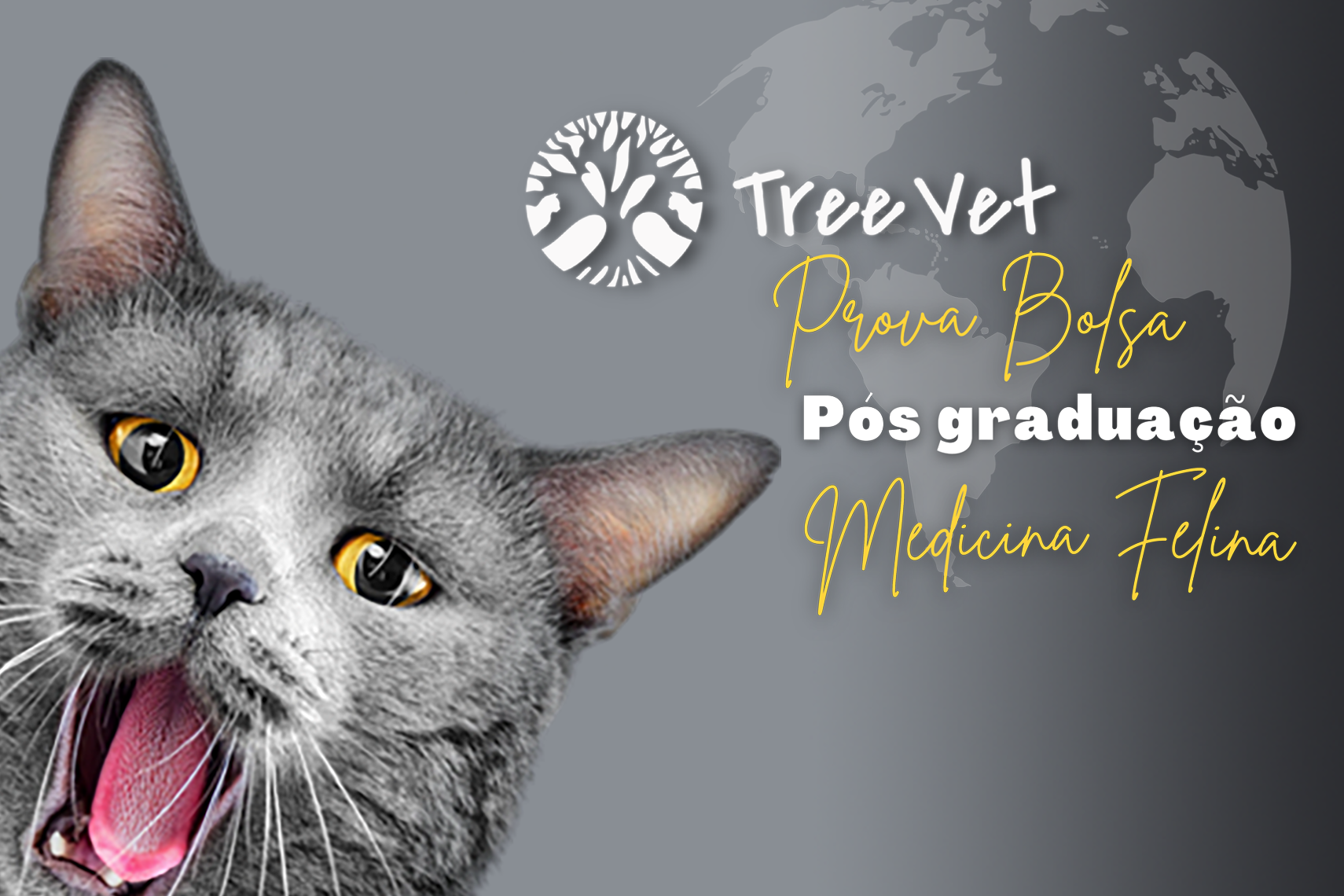 Prova de bolsa - Pós graduação Tree Vet Medicina Felina