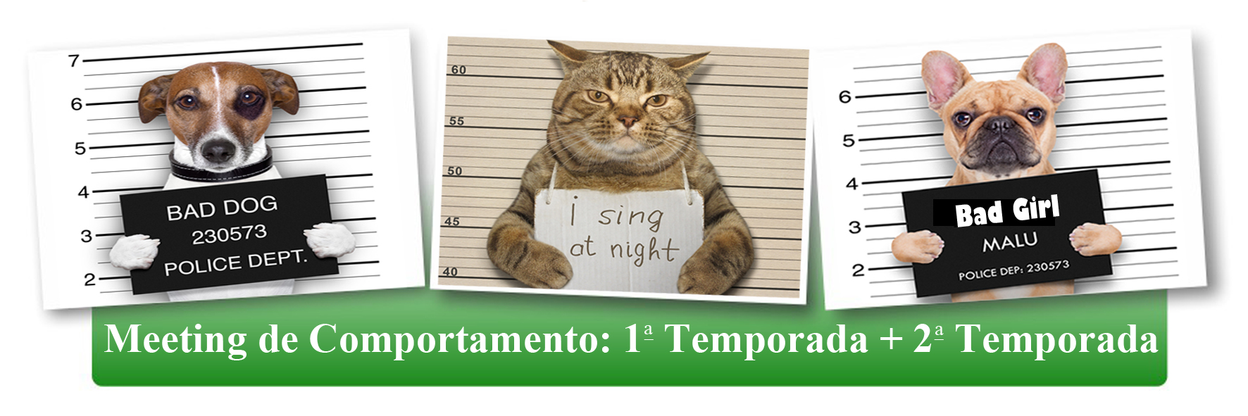 Meeting de Comportamento: 1ª + 2ª temporada 