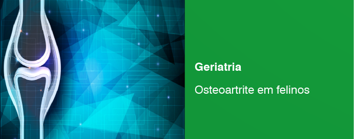 Osteoartrita la pisica veche cum se ameliorează în cazurile de; artrită