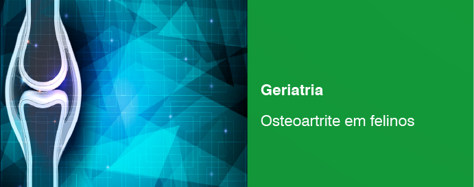 Osteoartrite em felinos