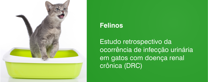 Estudo retrospectivo da ocorrência de infecção urinária em gatos com doença renal crônica (DRC)