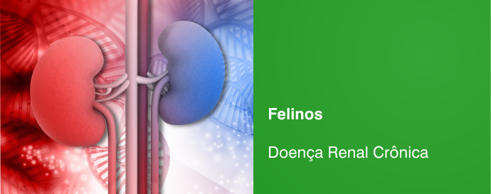 Doença Renal Crônica